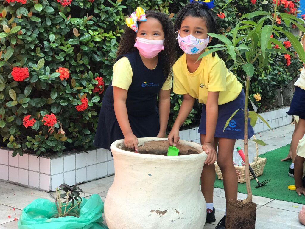 crianças aprendendo e brincando na terra no Colégio Bahiense